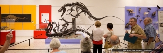 njsm-museum-dryptosaurs