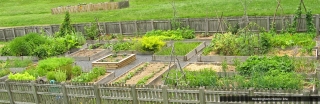 rockingham-historic-kitchen-garden