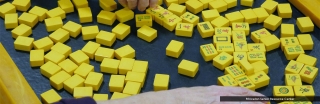 psrc-180-hands-mahjong